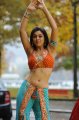 Hansika Motwani Hot Spicy Stills