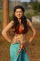 Hansika Motwani Hot Spicy Stills