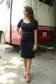 Actress Hansika Motwani Hot Stills in Dark Blue Dress