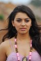 Hansika Latest Cute Stills