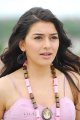 Hansika Latest Cute Stills