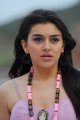 Hansika Latest Cute Stills