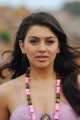 Hansika Latest Cute Stills