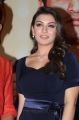 Tamil Actress Hansika Motwani Latest Hot Pics at TVSK Trailor Launch