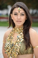 Hansika Motwani Cute Pictures, Actress Hansika Motwani Latest Cute Photos