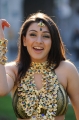 Hansika Motwani Cute Pictures, Actress Hansika Motwani Latest Cute Photos