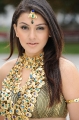 Hansika Motwani Cute Pictures, Actress Hansika Motwani Latest Cute Photos