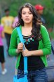 Hansika Motwani Cute Pictures