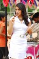 Hansika Motwani Cute Pictures