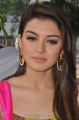 Beautiful Hansika Motwani Stills @ Durga Opening