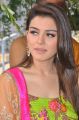 Actress Hansika Motwani Cute Stills at Durga Movie Opening