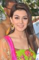 Beautiful Hansika Motwani Stills @ Durga Opening