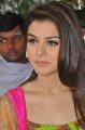 Actress Hansika Motwani Cute Stills at Durga Movie Opening