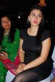 Hansika Motwani Latest Hot Pics