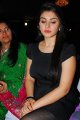 Hansika Motwani Latest Hot Pics