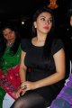 Hansika Motwani Latest Hot Pics