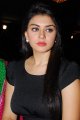 Hansika Motwani Latest Hot Pics