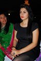 Hansika Motwani Latest Hot Pics