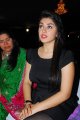 Hansika Motwani Latest Hot Pics