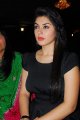 Hansika Motwani Latest Hot Pics