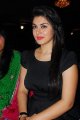 Hansika Motwani Latest Hot Pics