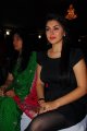 Hansika Motwani Latest Hot Pics