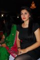 Hansika Motwani Latest Hot Pics