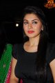 Hansika Motwani Latest Hot Pics