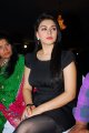 Hansika Motwani Latest Hot Pics