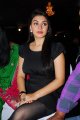 Hansika Motwani Latest Hot Pics