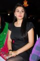 Hansika Motwani Latest Hot Pics