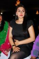 Hansika Motwani Latest Hot Pics