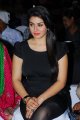 Hansika Motwani Latest Hot Pics