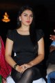 Hansika Motwani Latest Hot Pics