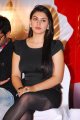 Hansika Motwani Latest Hot Pics