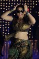 Hansika Motwani Hot Stills