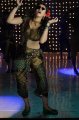 Hansika Motwani Hot Stills