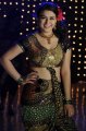 Hansika Motwani Hot Stills