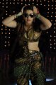 Hansika Motwani Hot Stills