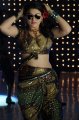 Hansika Motwani Hot Stills