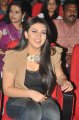 Hansika Motwani New Cute Stills