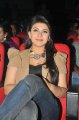 Hansika Motwani New Cute Stills