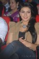 Hansika Motwani New Cute Stills