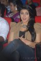 Hansika Motwani New Cute Stills