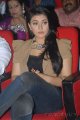 Hansika Motwani New Cute Stills