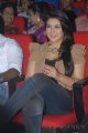 Hansika Motwani New Cute Stills