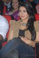 Hansika Motwani New Cute Stills