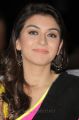 Actress Hansika Motwani Saree Photos in Sleeveless Blouse