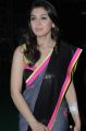 Actress Hansika Saree Photos in Sleeveless Blouse