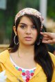 Hansika Motwani cute face pics